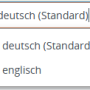 publikation_anlegen_abstract_uebersetzen.png
